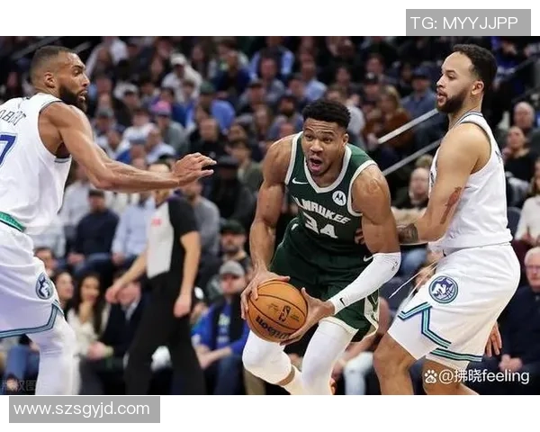 森林狼与勇士精彩对决图集回顾展现赛场激情与精彩瞬间