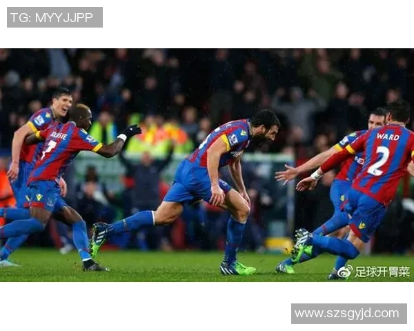 水晶宫主场迎战加的夫全力争胜足彩分析与推荐 水晶宫主场迎战加的夫全力争胜足彩分析与推荐