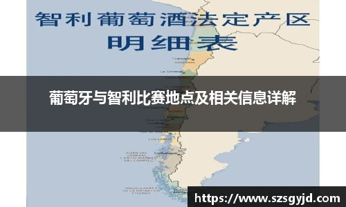 葡萄牙与智利比赛地点及相关信息详解